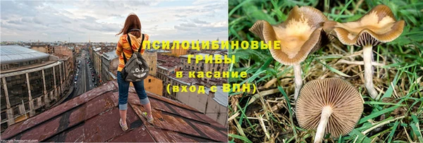 бошки Беломорск