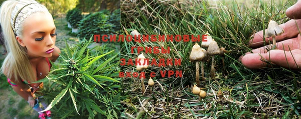 кокс Инта